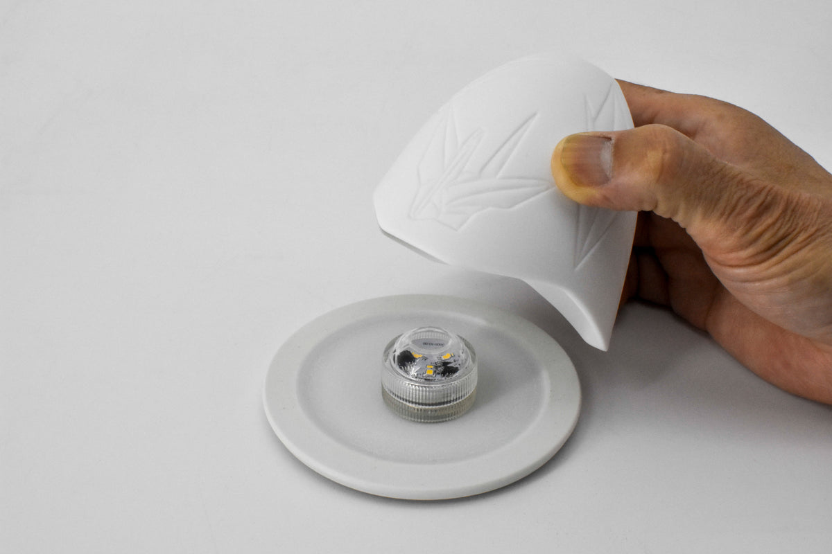 DSC0040-2_1200x1200.jpg?v=