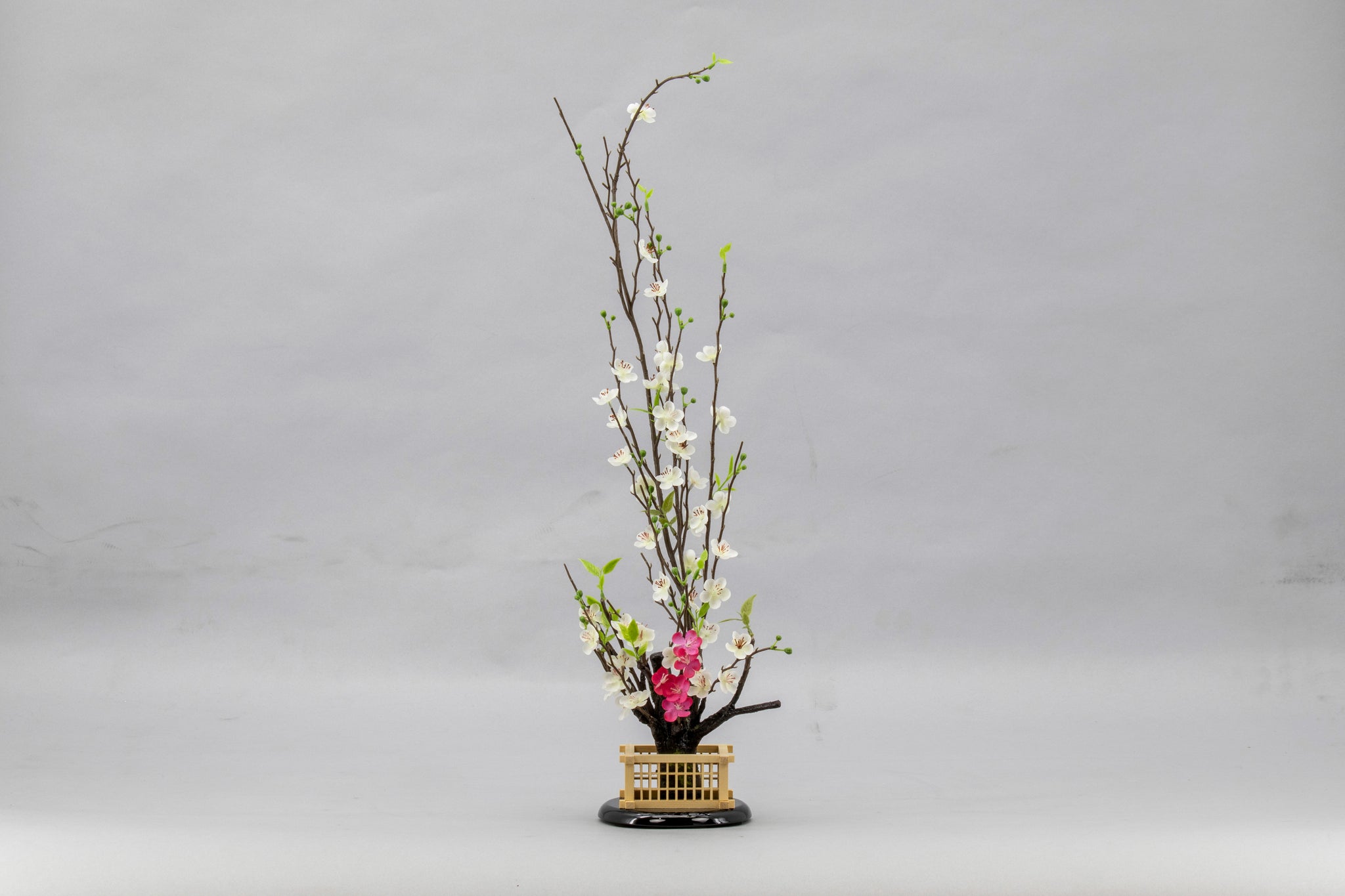 貴咲 -悠- 立雛飾り – 人形の藤娘 オンラインショップ